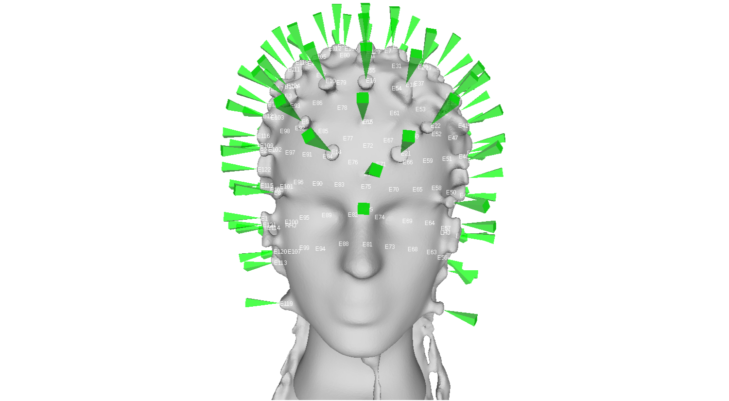 3D head model used for EEG electrode localization